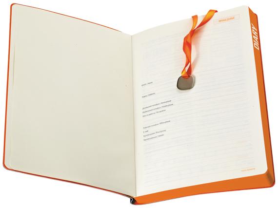 Ежедневник недатированный А5 «Mercury»